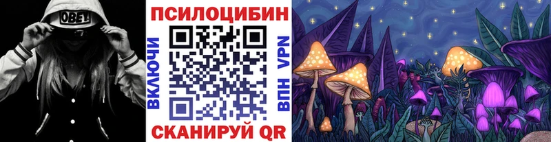 Псилоцибиновые грибы Psilocybine cubensis  Купить  Неман 